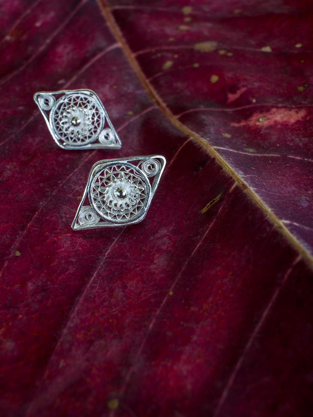 Silver Earrings