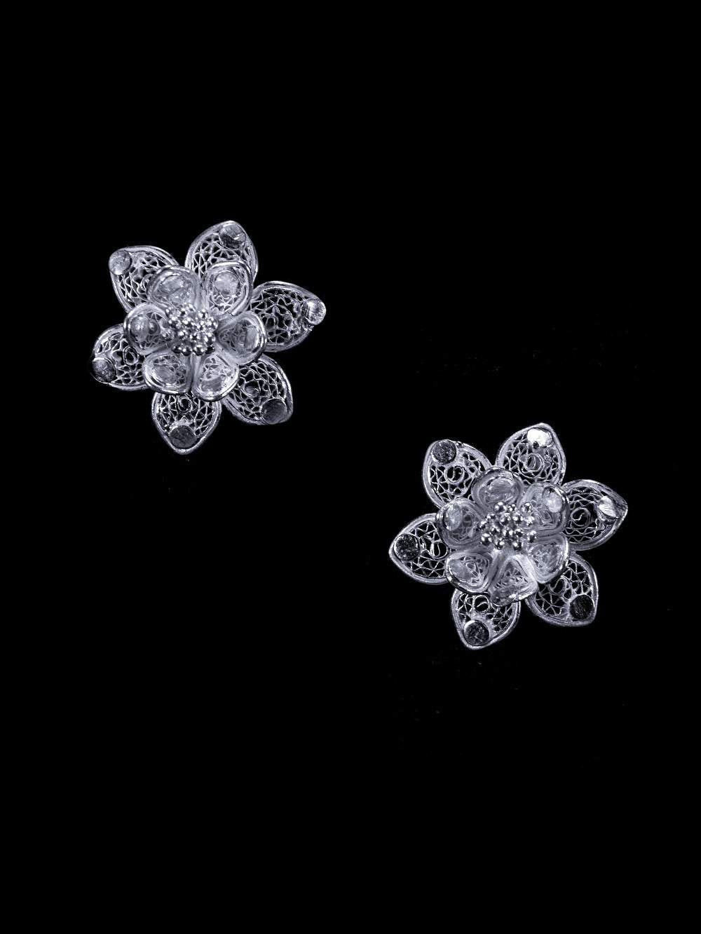 Silver Earrings