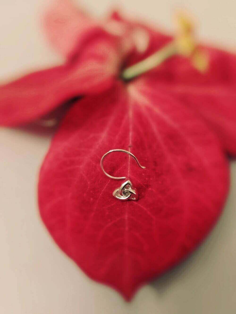 Pierced Nose Rings Online