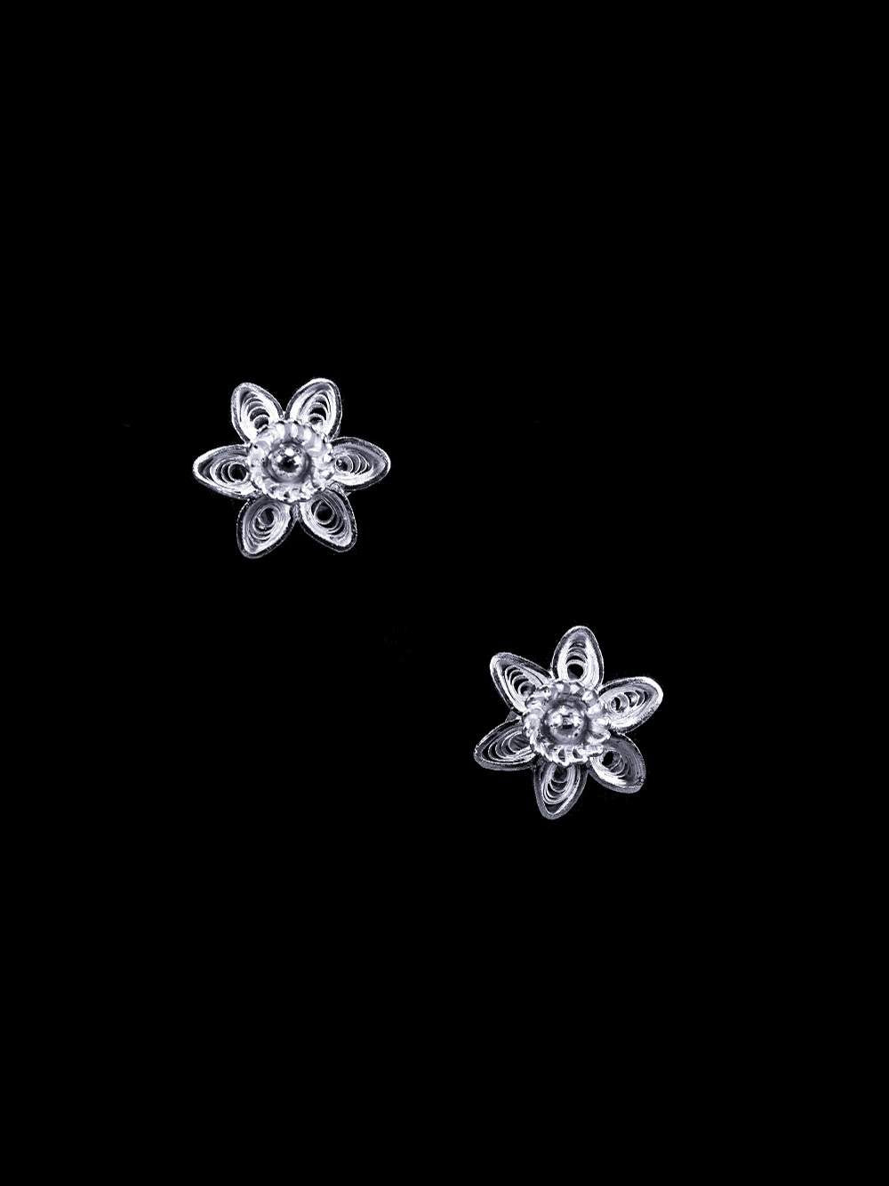 Silver Earrings