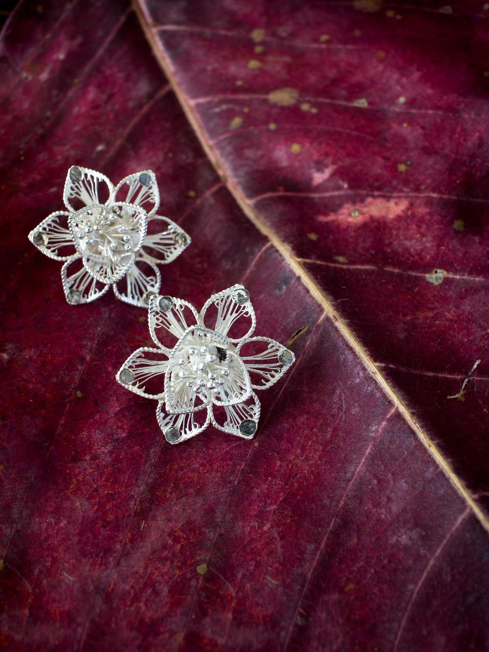 Silver Earrings