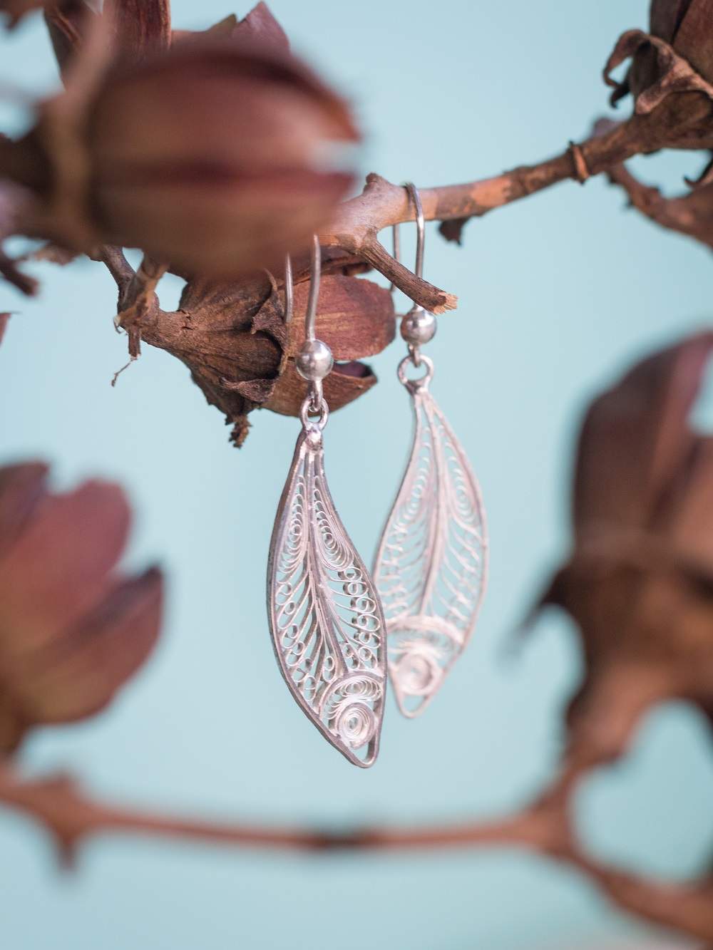 Fish earrings        