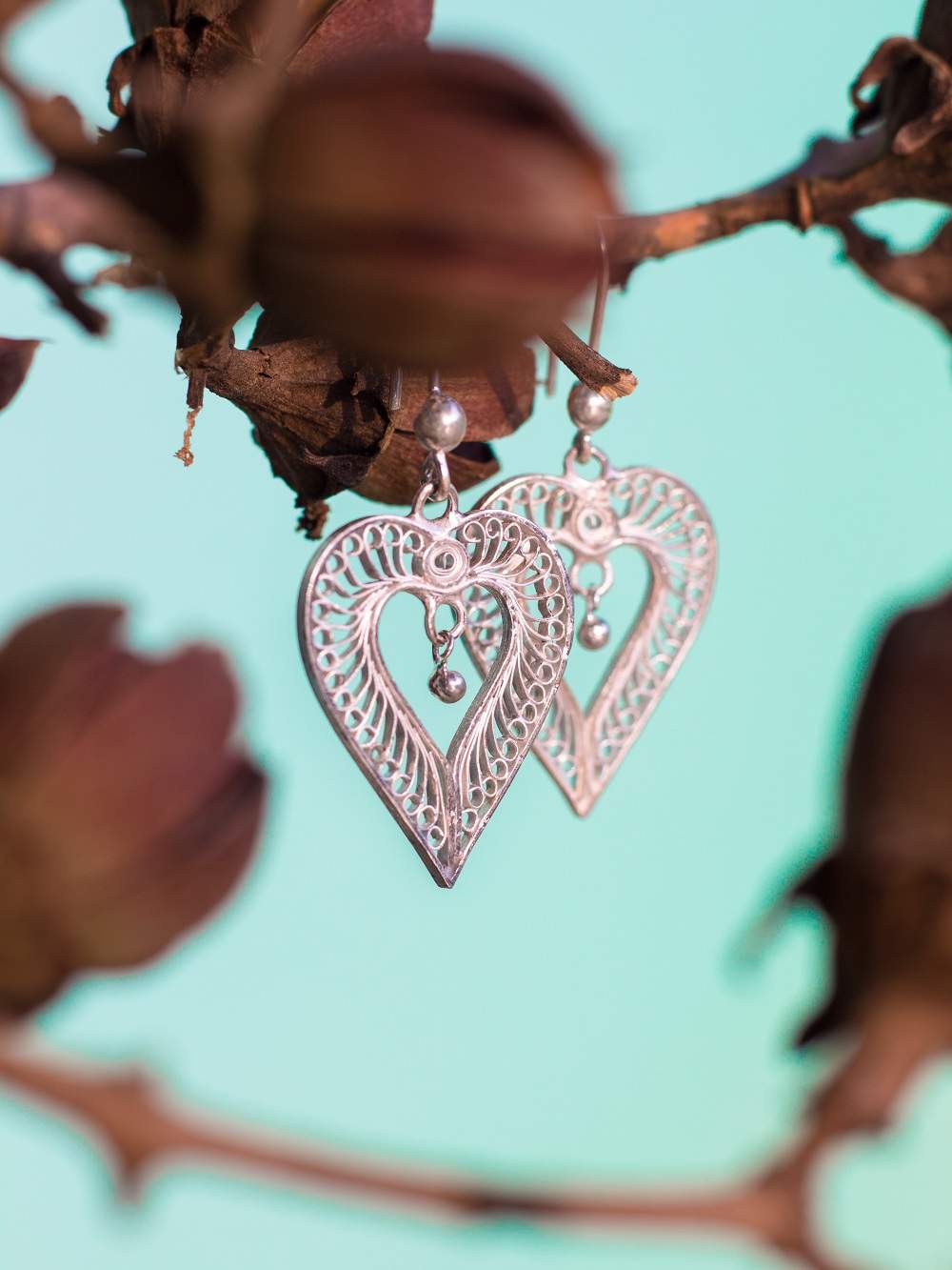 Silver Earrings