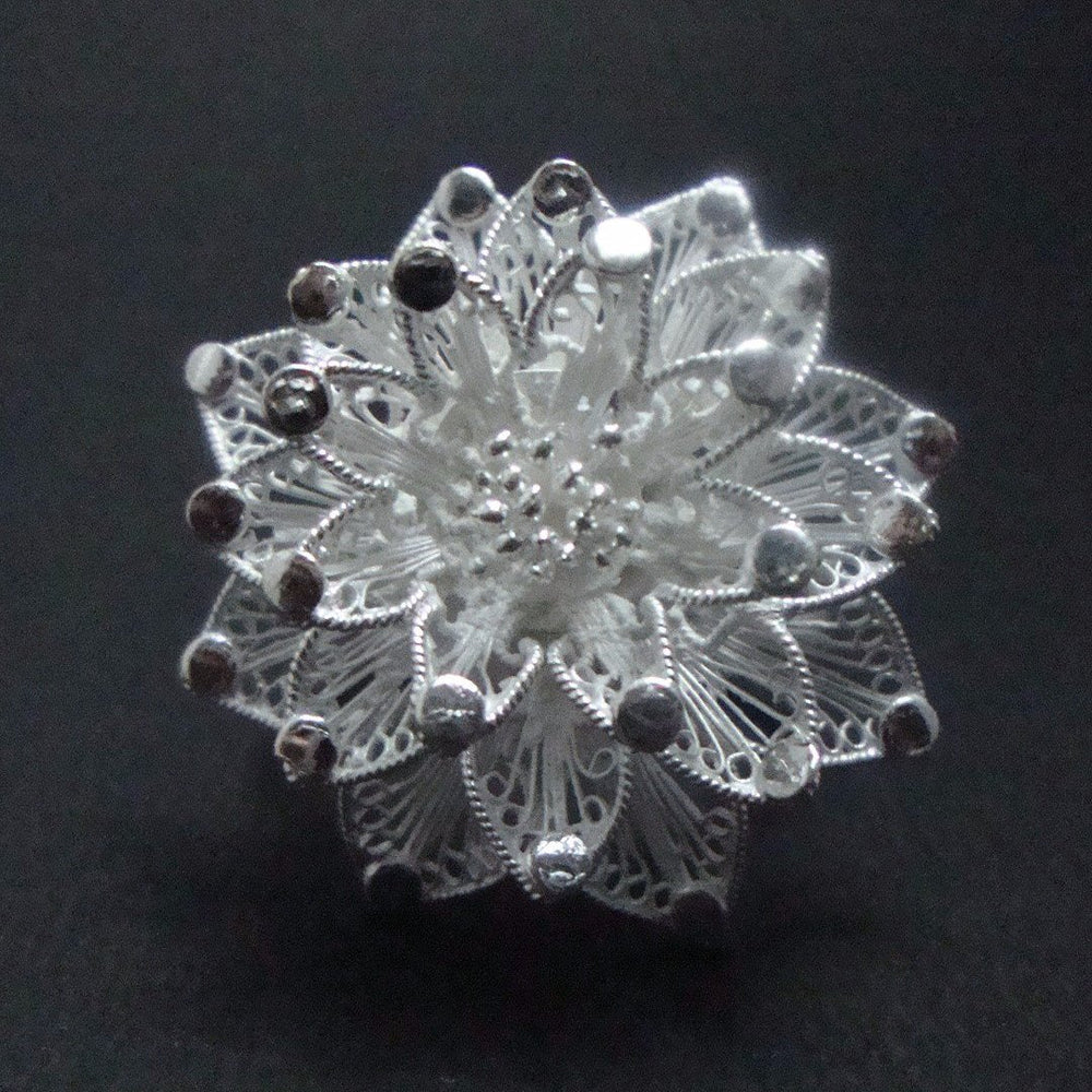 
                      
                        Cuttack Filigree R031.JPG
                      
                    