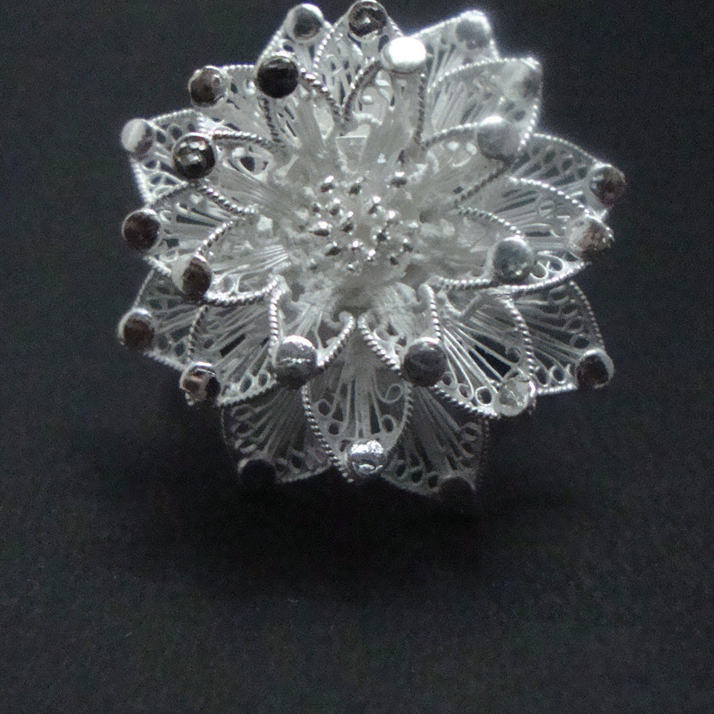 
                      
                        Silver ring
                      
                    