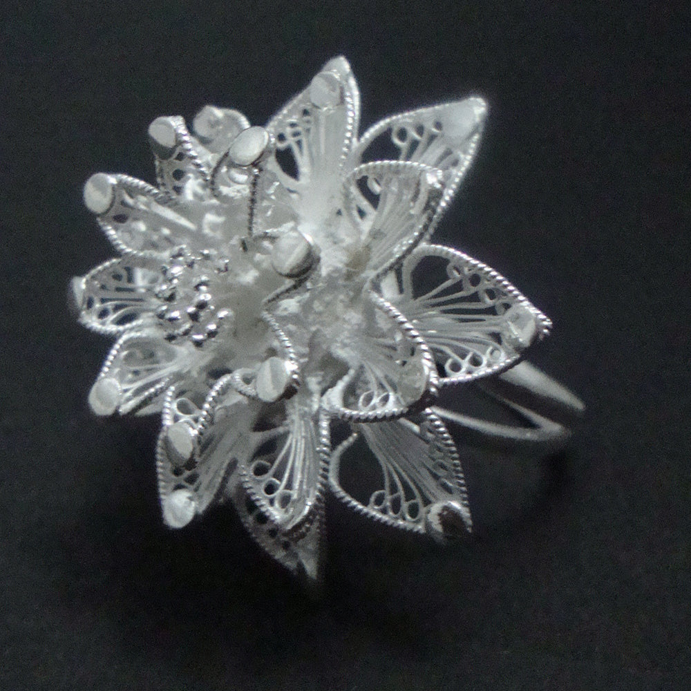 
                      
                        Silver ring
                      
                    