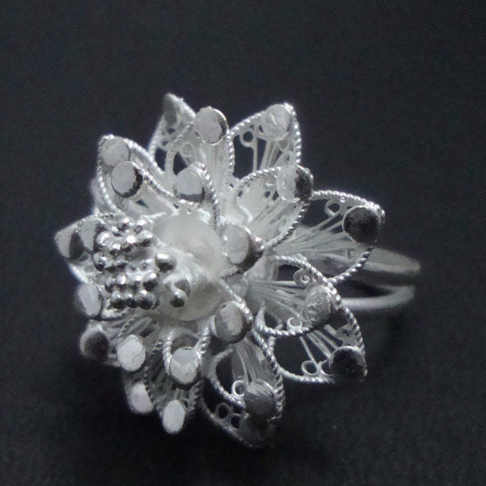 
                      
                        Filigree Jewellery R031.JPG
                      
                    