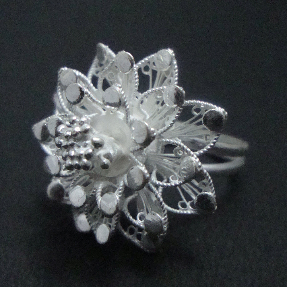 
                      
                        Silver ring
                      
                    