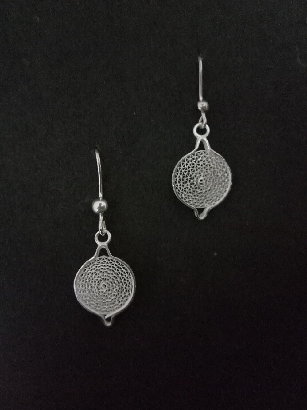 Silver Earrings Moon