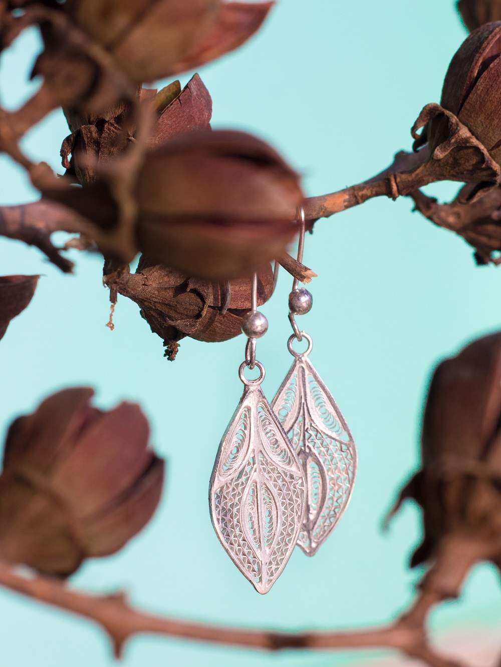 Silver Earrings