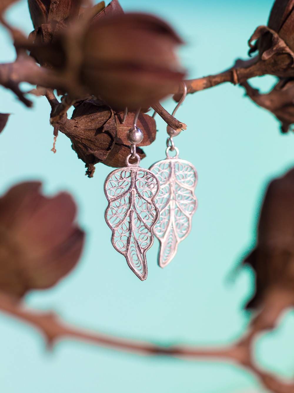 Silver Earrings