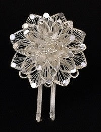 
                      
                        Silver hair accessories
                      
                    