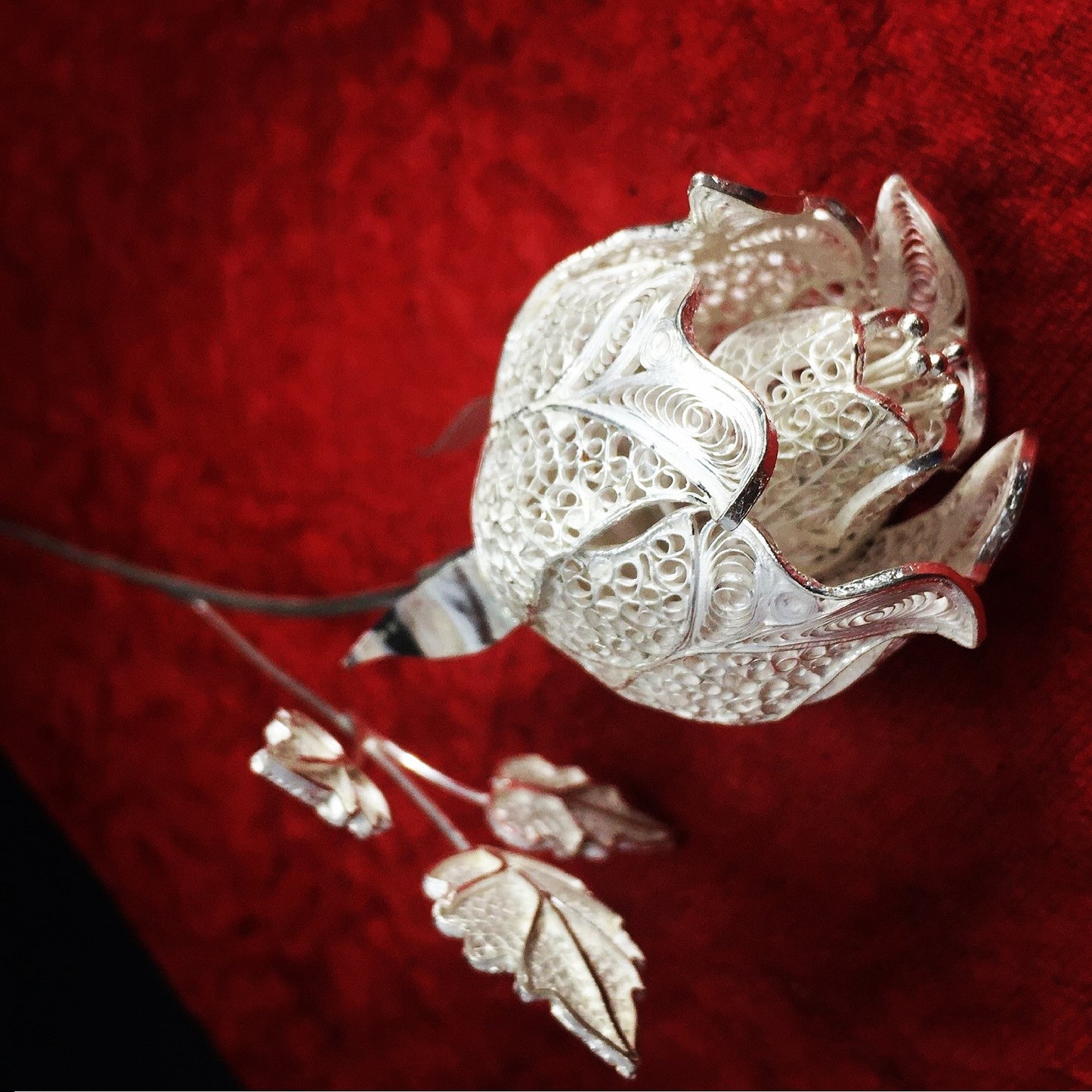 Silver rose