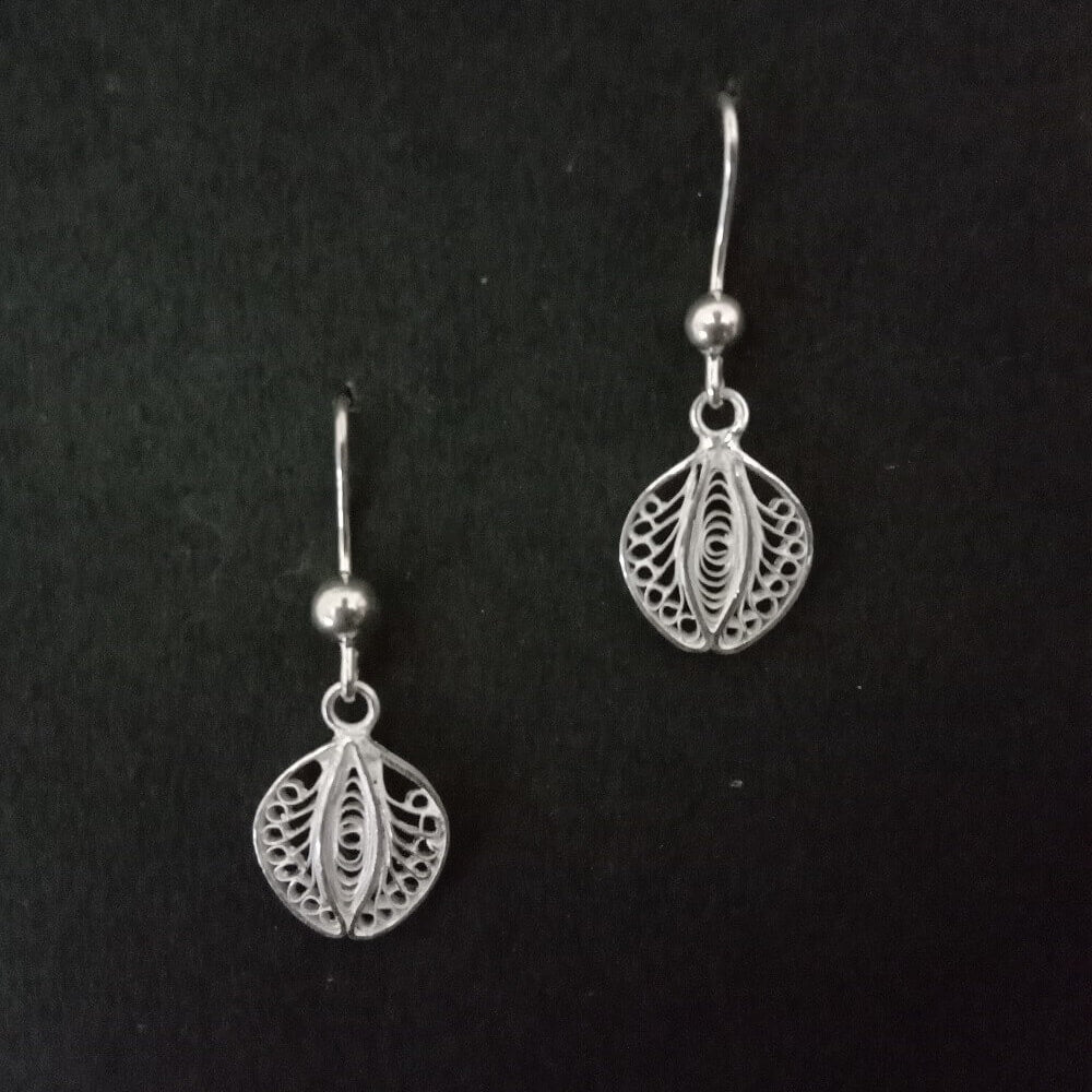 
                      
                        Silver Earrings Akhrot
                      
                    