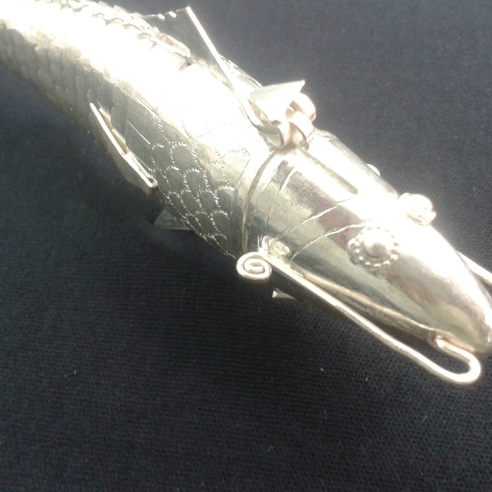 
                      
                        Silver Fish
                      
                    